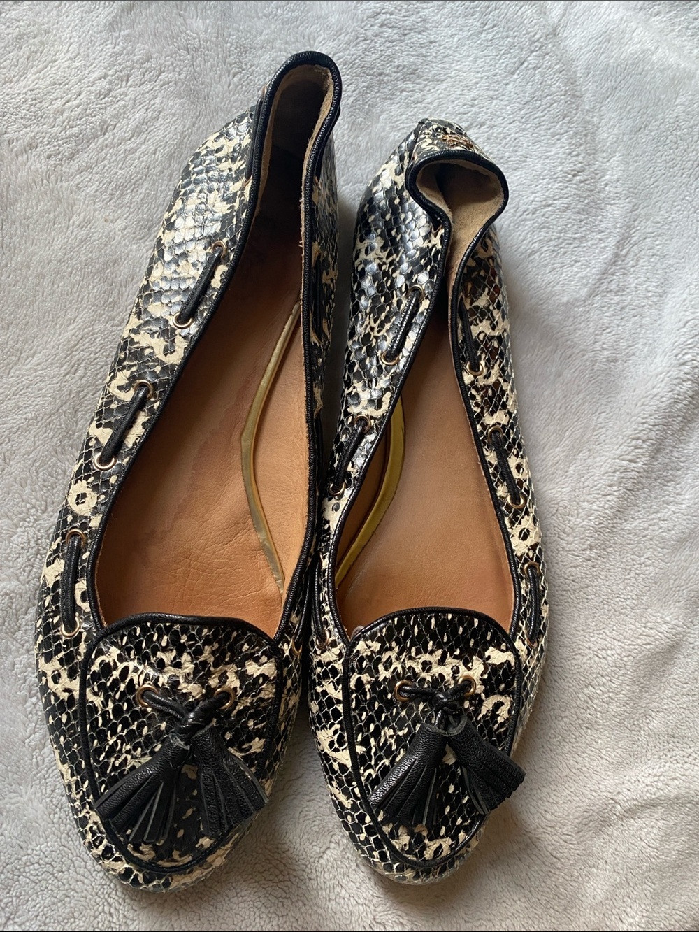 Coach Snake Skin Tassel Loafers in Black and Cream